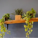 Flash Sales Offer - Any Week Day No Minimum Restrictions Brighton City Centre Studio Bn144Cla02